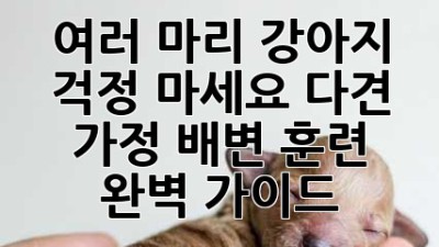 여러 마리 강아지? 걱정 마세요! 다견 가정 배변 훈련 완벽 가이드