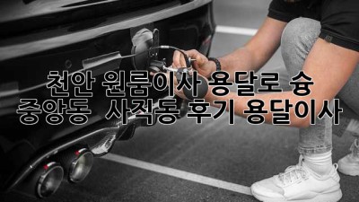 천안 원룸이사, 용달로 슝💨 중앙동 & 사직동 후기 #용달이사