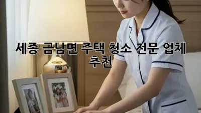 세종 금남면 주택 청소 전문 업체 추천