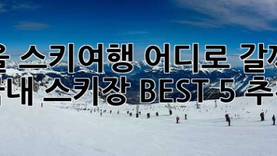 겨울 스키여행, 어디로 갈까요? 국내 스키장 BEST 5 추천!