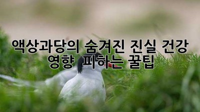 액상과당의 숨겨진 진실🚨: 건강 영향 & 피하는 꿀팁🍯